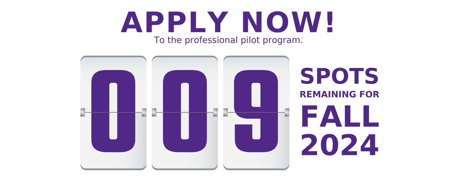 Professional Pilot Spots Countdown
