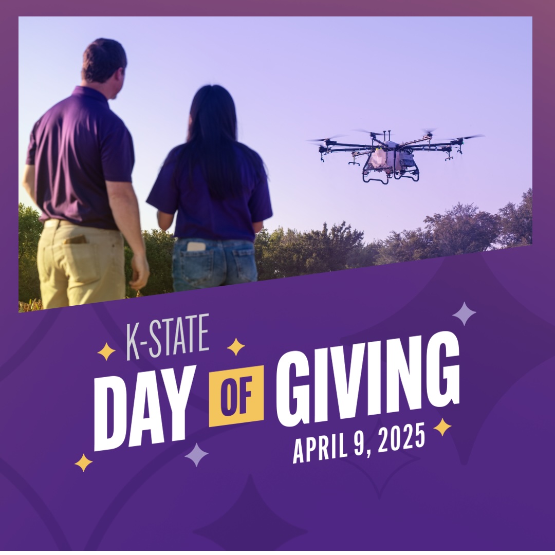 Day of Giving link