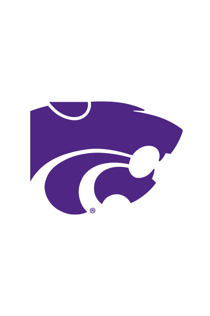Powercat Logo Image for Preston Gapter